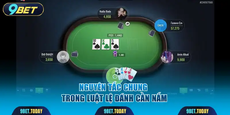 Nguyên tắc chung trong luật lệ đánh cần nắm